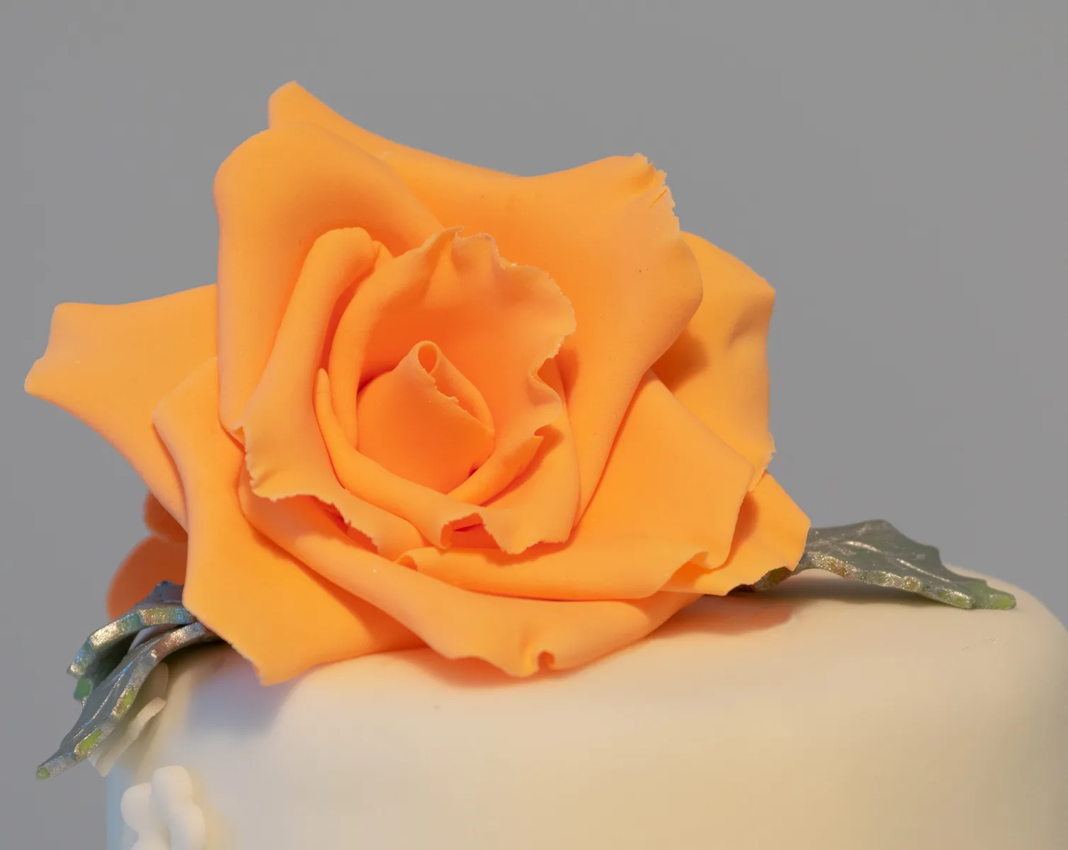 Sugar rose