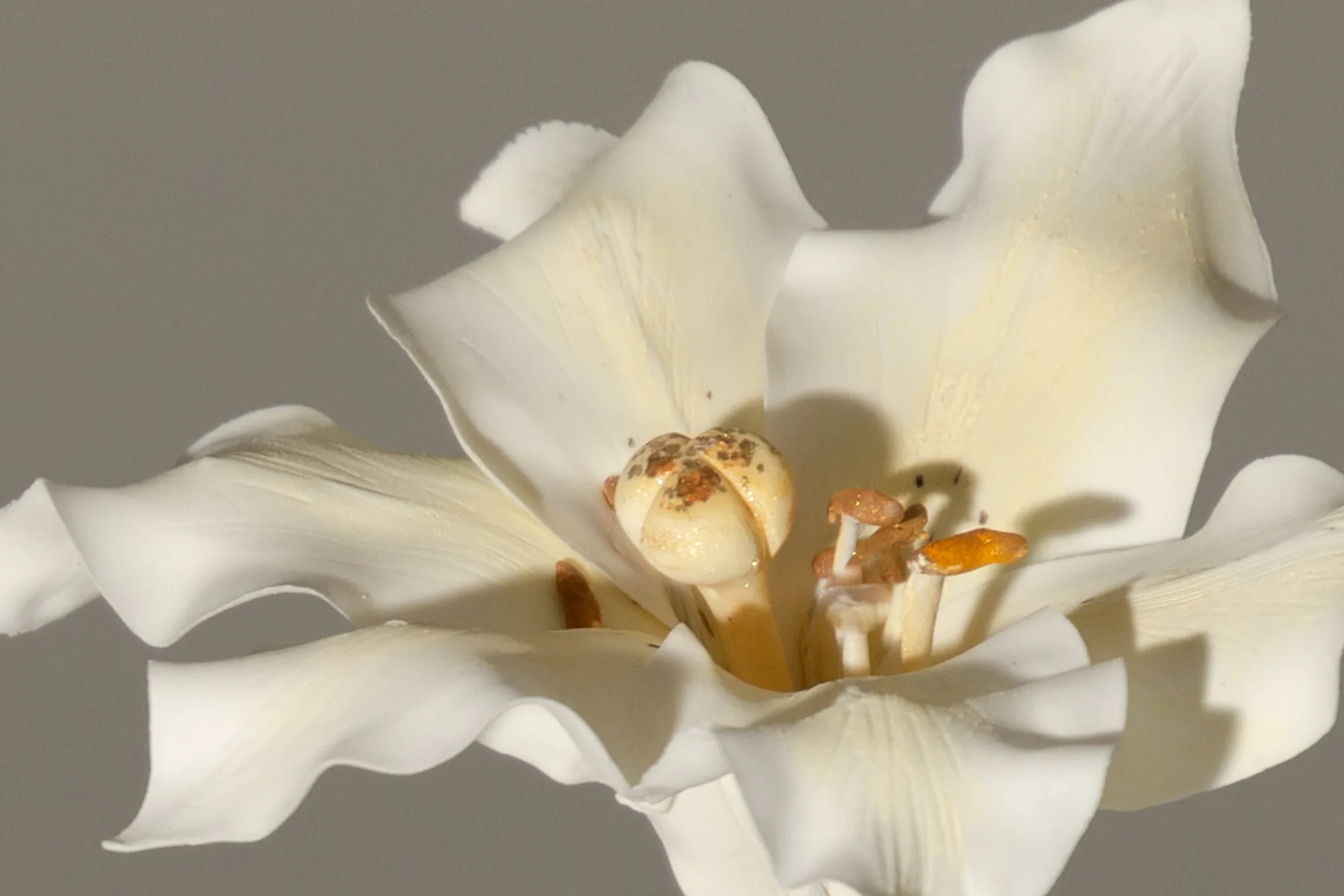 Sugar lily on a delicate caffee cake