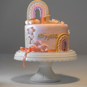 Rainbow cake 8-12 persone