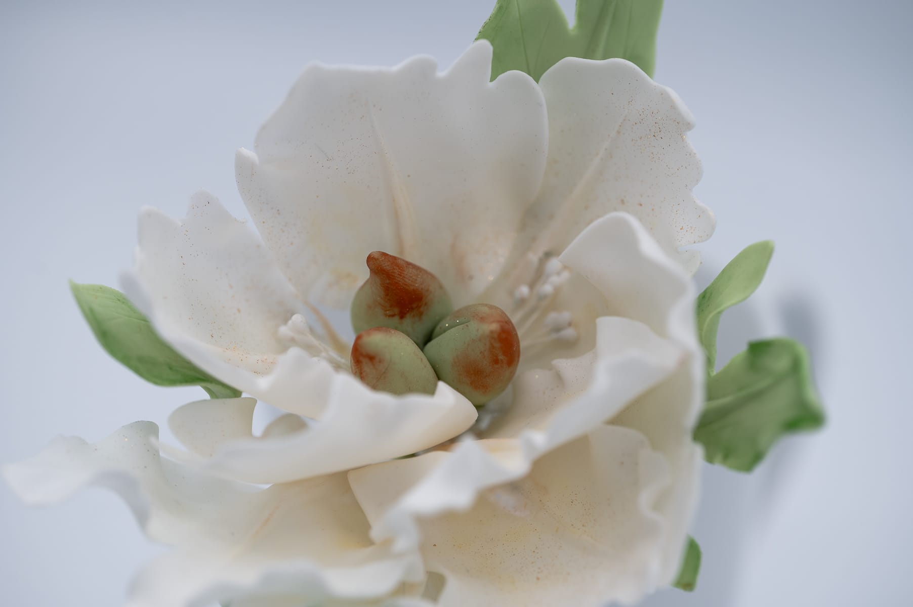 Sugar paste peony