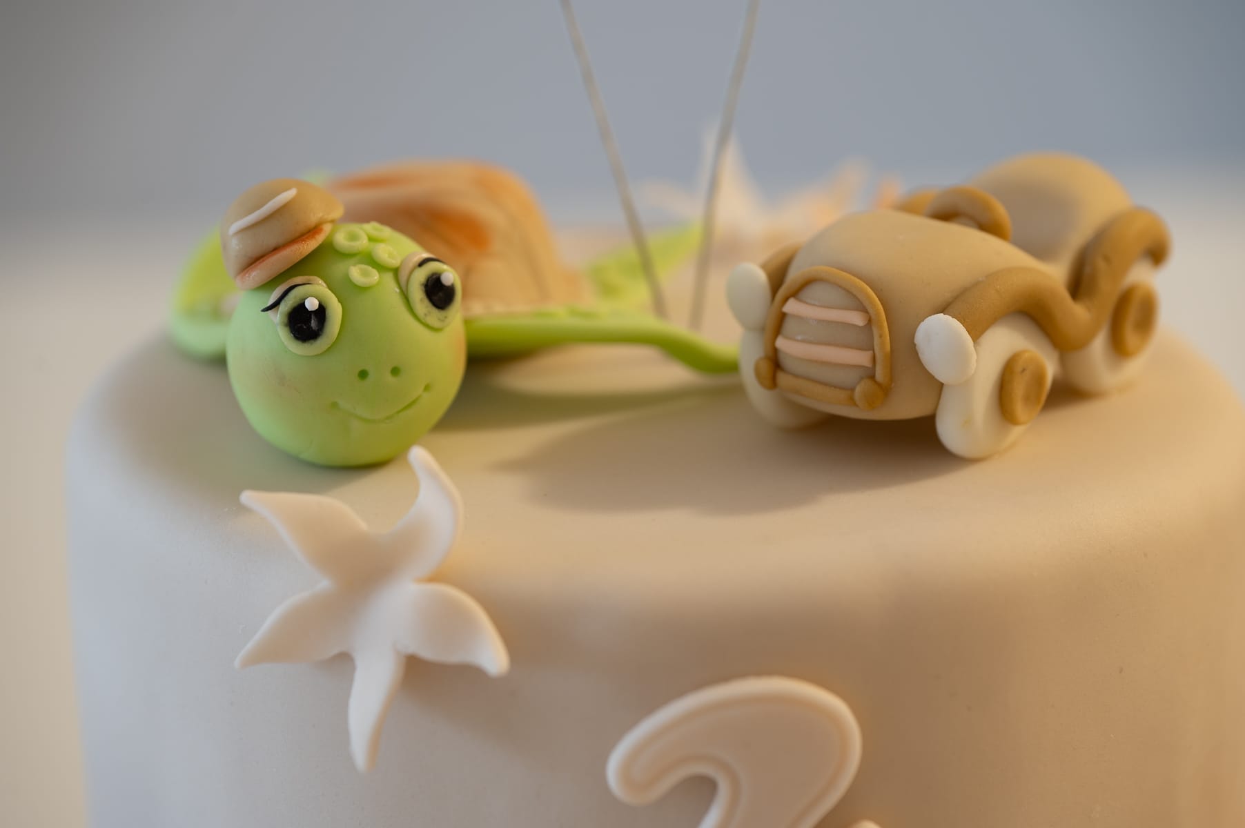 Sugar paste turtle
